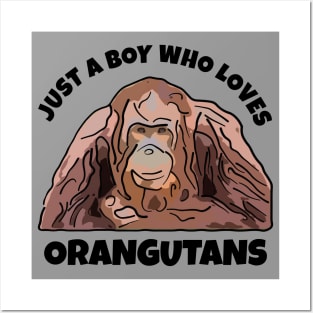 Just a Boy Who Loves Orangutans Posters and Art